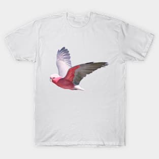 Cheeky galah, Beautiful galah, pink and grey parrot, flying galah with a cheeky grin. T-Shirt